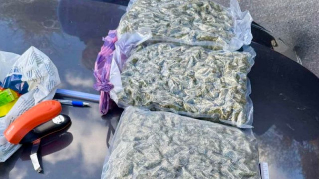 Разбиха оранжерия за канабис в Бобов дол